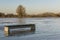 Bench in River IJssel Flood