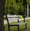 a bench by the river passes