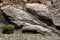 Bench and rocks