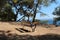 Bench by the sea - summer photo