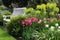 Bench seat in an english garden in early summer