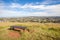 Bench seat from top of Mount Eden for looking over Auckland\'s c