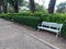 The bench in the shady garden