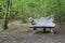 Bench in shorne Country Park