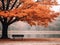 a bench sits in front of an autumn tree