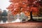 a bench sits next to a lake with red leaves