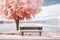 a bench sitting in front of a pink tree