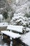 Bench in the snow