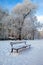Bench in the snow, snowy trees in the courtyard of urban low-rise buildings. Saint-Petersburg, Russia