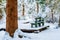 Bench in a snowy forest, on a hiking trail, after a snowstorm in Vancouver Delta BC, at Burns Bog. Evergreen tree trunk and