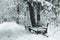 A bench in a snowy forest. A magical winter landscape