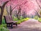 bench in spring park under flowering sacura trees
