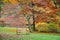 Bench in Stourhead Garden - Autumn Colours