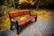 Bench in the summer park with old trees and footpath