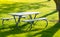 Bench and table in the public park on the green meadow on a sunny day. Great for many people for the birthday party and