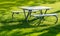 Bench and table in the public park on the green meadow on a sunny day. Great for many people for the birthday party and