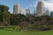 Bench in Treasury Gardens