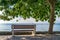 A bench and a tree against the see in Nessebar ancient city on the Bulgarian Black Sea Coast in Nessebar. Calm, relaxation,