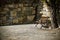 Bench, tree and old stone wall