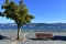 Bench, tree and stone handrail in a beach promenade. Boats in a bay with blue water, clear sky, sunny day. Galicia, Spain.