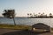 Bench and Tree at Sunset at Mission Bay Park