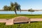 Bench and Trees at Mission Bay Park