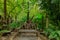 Bench under the gothic rustic arch