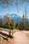 Bench under a larch tree, hiking trail kranzberg mountain, view to karwendel alps