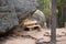 Bench under rock