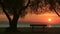 Bench under tree in Palmyra beach at sunset. Public beach in Athens, Greece