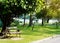 A bench under a tree Park in Bangkok.