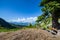 Bench under tree with roots and view to mountain Dachstein