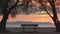 Bench under tree by sea at sunset, palmyra beach, landscape of Athens in Greece