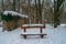 Bench in winter