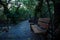 Bench and wood path trail in mangrove forest