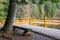 Bench on the wooden pier of Synevyr lake in autumn