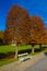 Benche in Autumn Park - Moritzburg, Germany
