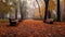 benches in an autumn park