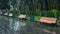 Benches in the Batumi Park on a rainy day