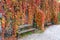 benches in beautiful colorful hanging garden of Palace in Lillafured Hungary autumn fall season in Bukk National Park