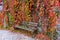 benches in beautiful colorful hanging garden of Palace in Lillafured Hungary autumn fall season in Bukk National Park