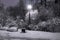 Benches brought by snow, trees in snow