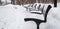 Benches Chairs in Snow