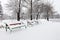 Benches in a city park covered with snow