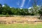 Benches in a fenced rural environment