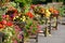 Benches and flowers