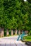 Benches on Kiev embankment in Uzhgorod