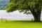 Benches on a lawn at a lake