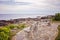 Benches on Marginal way path along the rocky coast of Maine in Ogunquit