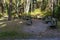 Benches of Palanga BirutÄ— Park rotunda